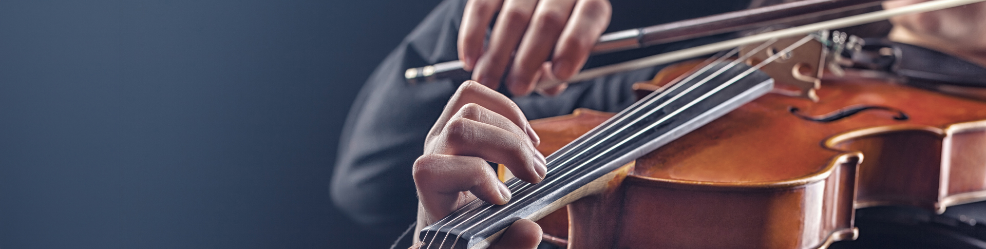 Viola