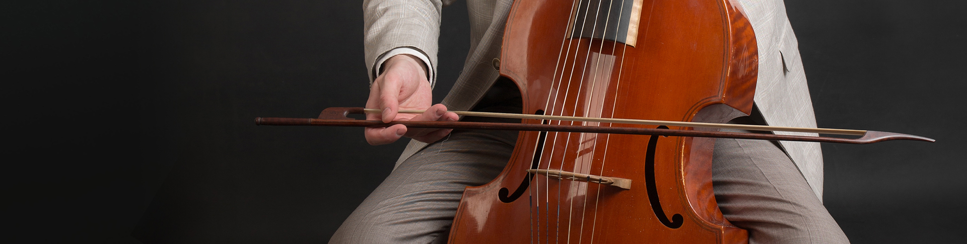 Viola da gamba